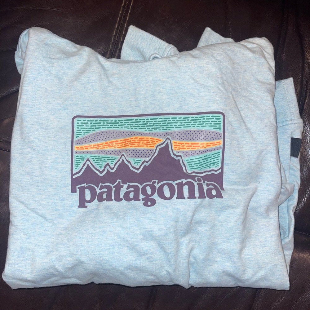 Patagonia sweatshirt